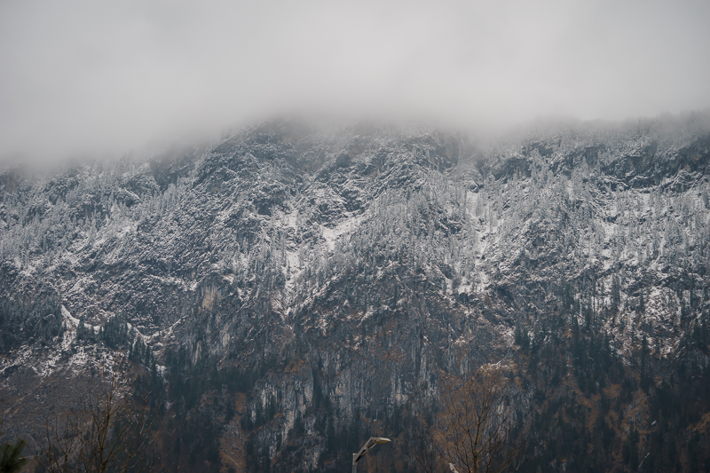 _DSC7813.jpg